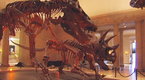 Dinosaur - Bonus Scene