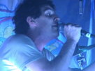 Animal Collective