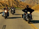 Biological Biker Brawls