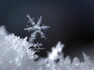 ORF Universum Documentaries | Season 1 Episode 59 | Let It Snow!