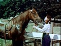 Video Sample