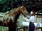 The Cisco Kid | Season 2 Episode 21 | Quarter Horse