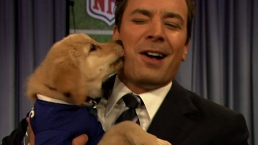 Puppy Predictors: Part 5