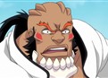 Bleach 113 picture