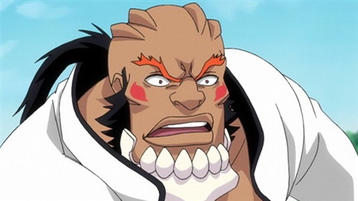 Bleach 113 Video