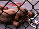 Stephan Bonnar, Joe Lauzon and more
