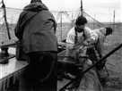 PBS Indies | Season 8 Episode 10 | A Fish Story