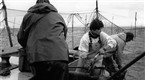 Independent Lens | A Fish Story | PBS