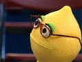 Sesame Street - 30 Rocks