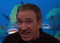 play video on Hulu