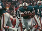 1973 Miami Dolphins