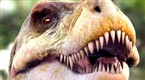 Explorer: T. Rex Walks Again (season 4, episode 13)