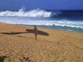 The Endless Summer Revisited
