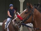 Great Museums | Season 2 Episode 8 | Horse Power: The National Museum of Racing