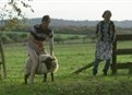 Episode 9 picture
