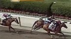 TVG: Graded Stakes Races