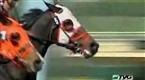 TVG: Blinkers