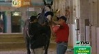 TVG: Groom