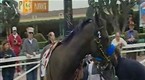 Paddock