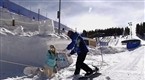 Snow Bunnies