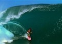 Tamayo Perry picture