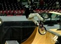 Dave Mirra picture