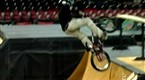 Firsthand: Dave Mirra