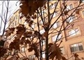 Build 4: Green Community picture