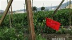 Eat 2: Farmer's Markets