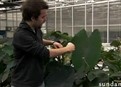 Eat 4: Terracycle picture