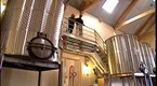 Stoller Vineyard