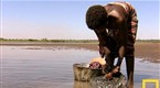 National Geographic Channel: Man-Eating Croc