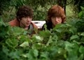 Episode 7 picture