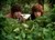 Episode #107 picture