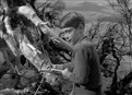 The Attack of the Monster Plants picture