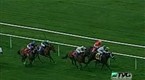 TVG: Grass Routes