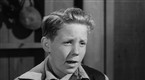 Highway Patrol: Runaway Boy (season 1, episode 35)