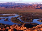 Wild Mongolia