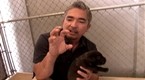 Dog Whisperer: Bringing up Puppies