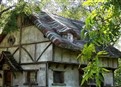One Man’s Trash Is Another Man’s House picture