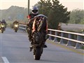 Video Sample
