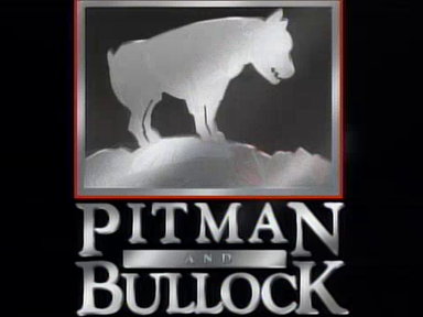 Pit Bull