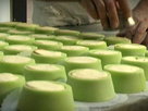 Slow Food Revolution | Slow Food Revolution