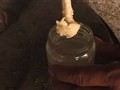 Video Sample