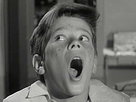 The Donna Reed Show | Season 3 Episode 8 | Higher Learning