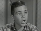 The Donna Reed Show | Season 3 Episode 9 | Never Marry a Doctor