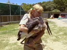 Aussie Animal Rescue | Season 1 Episode 11 | Roo Release