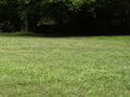 How to Care for Your Lawn