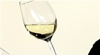 Howdini: How to Properly Taste Wine