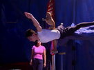 Circus Down the Road